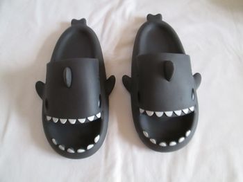 Claquettes dents de requin