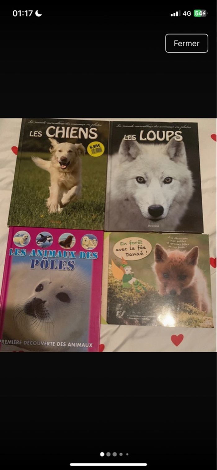 Lot livres pour enfants sur les animaux - photo numéro 1