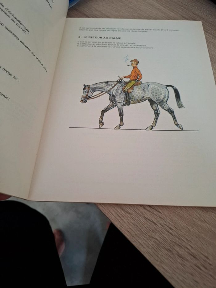 Magnifique livre sur la préparation des chevaux - photo numéro 2