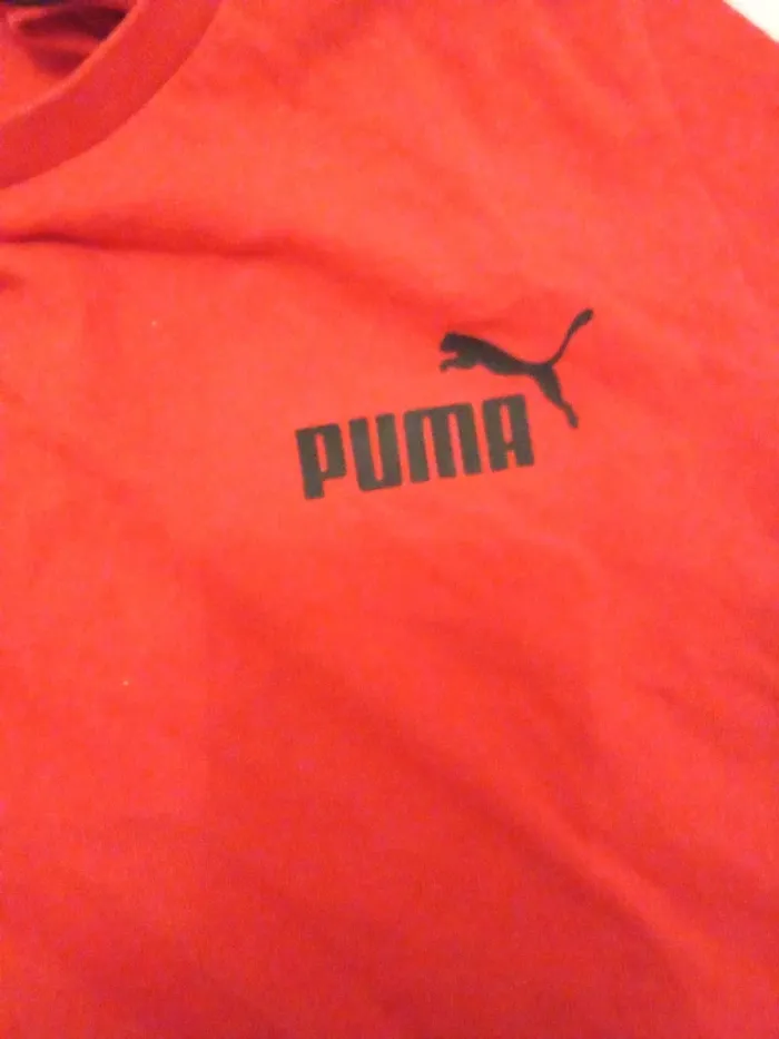 T-shirt - photo numéro 3