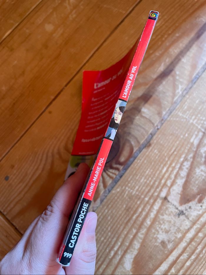 Livre - L’amour au vol - photo numéro 3