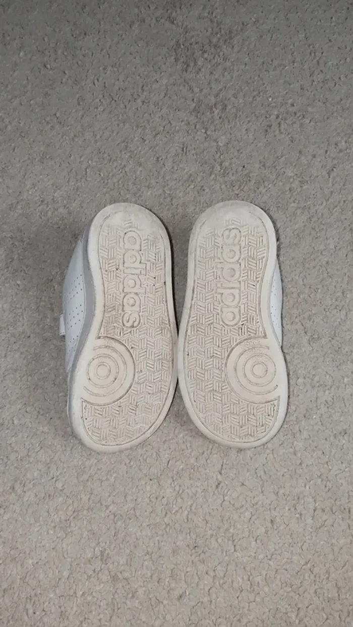 Basket - photo numéro 3