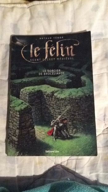 #le félin agent secret médiéval, le sorcier de Brocéliande par Arthur Ténor