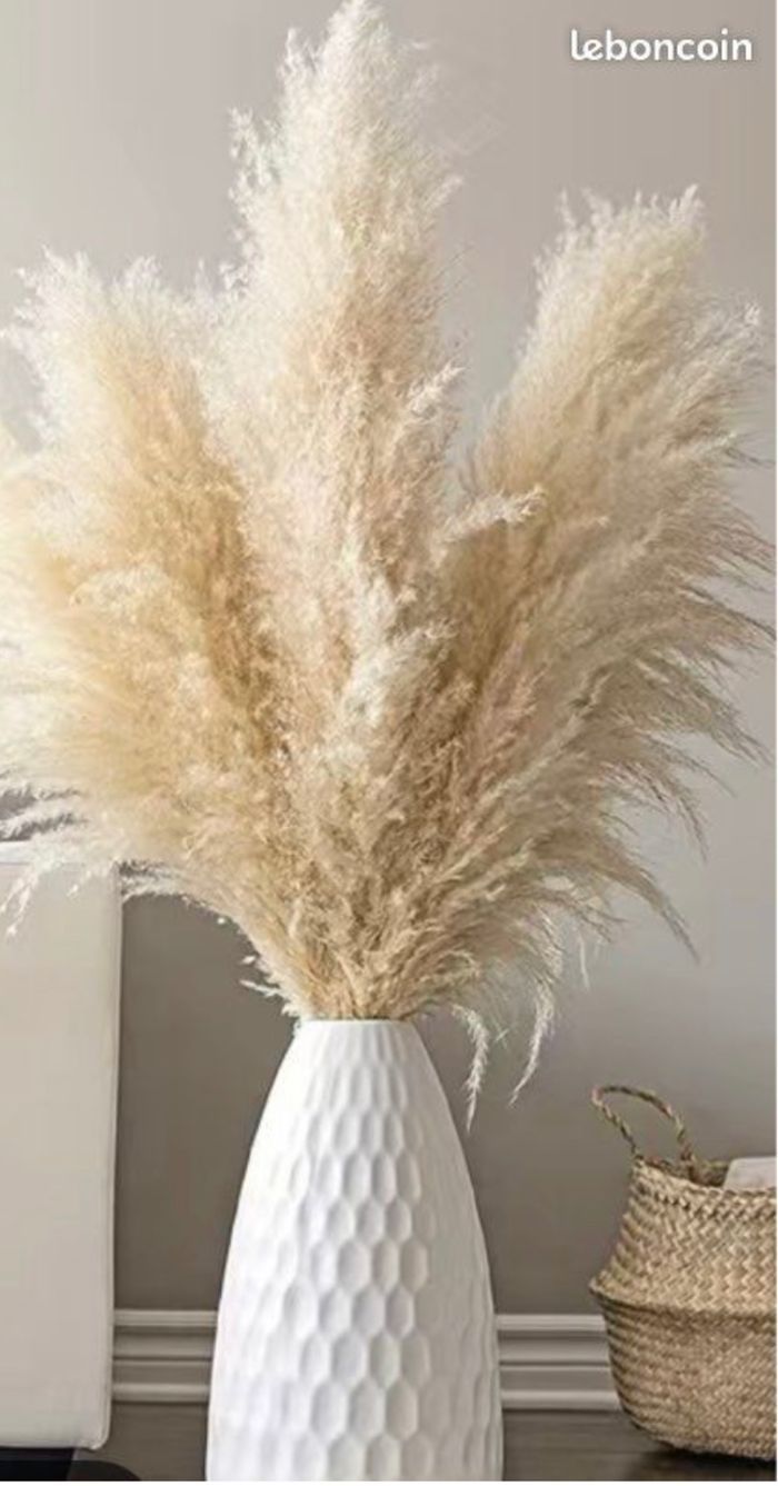 Bouquet de pampas , décoration