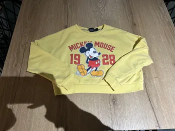 Sweat Mickey