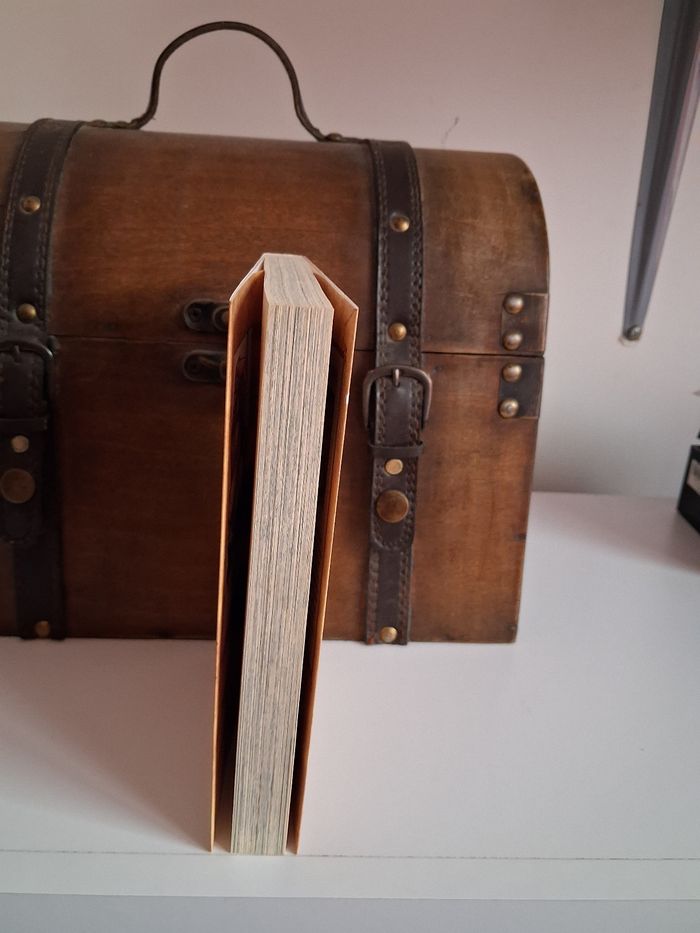 Manga Fairy Tail tome 19 collector - photo numéro 3