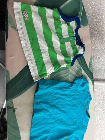 Lot de 2 tee shirts bébé garçon taille 9 mois