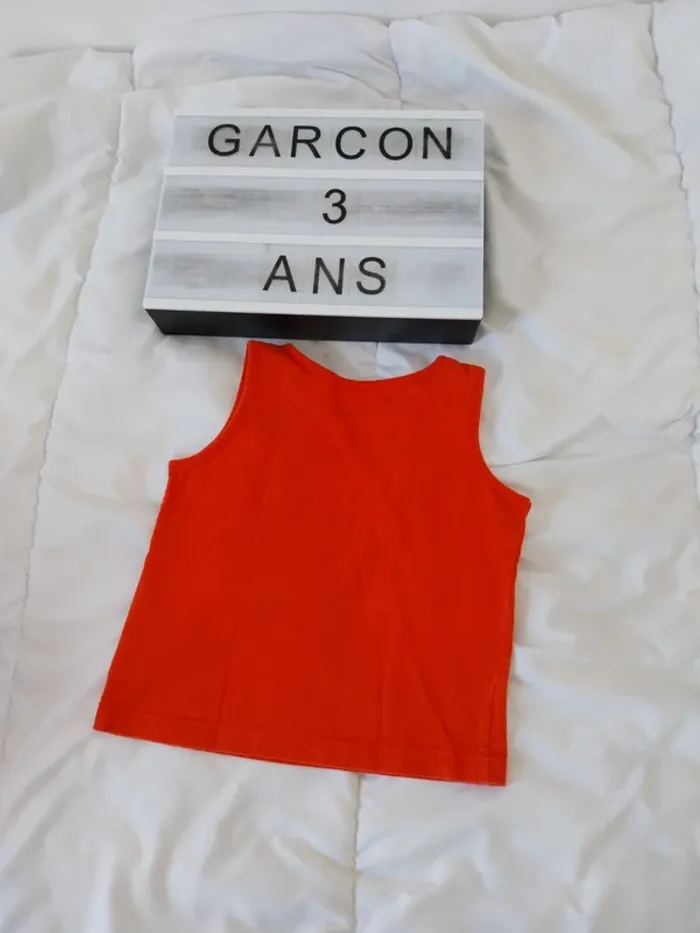 Tee-shirt manche courte garçon 3 ans - photo numéro 2