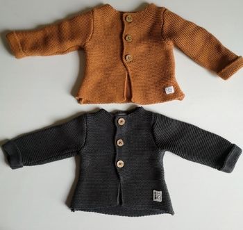 Lot 2 gilets taille 1 mois