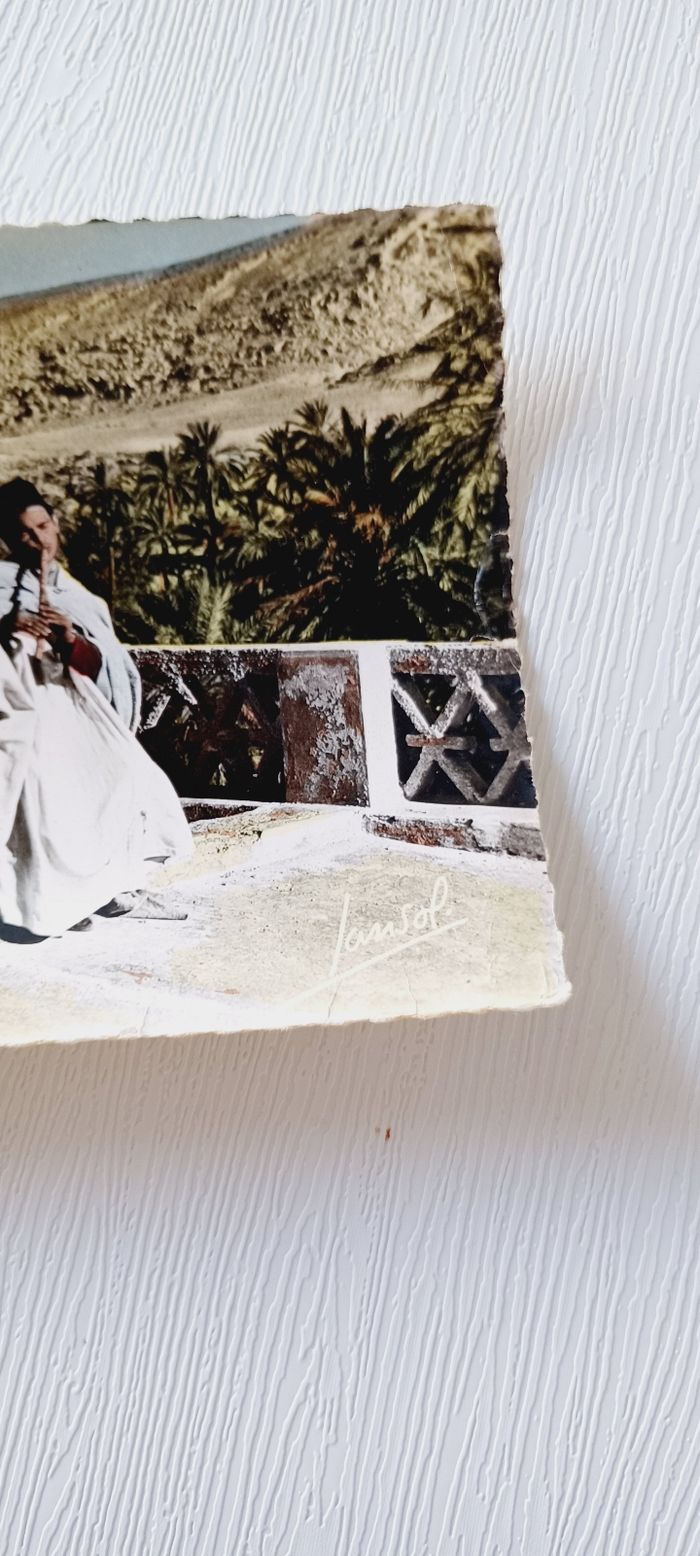 Carte postale vintage alger - photo numéro 5