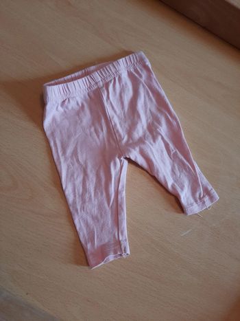 Legging rose