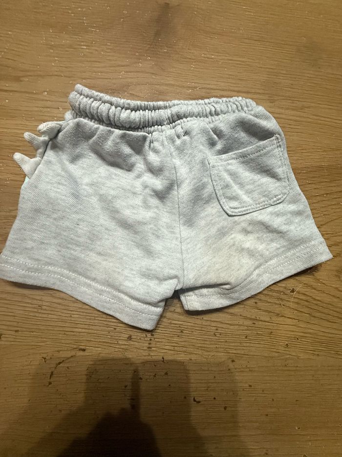 Short crocodile - photo numéro 2