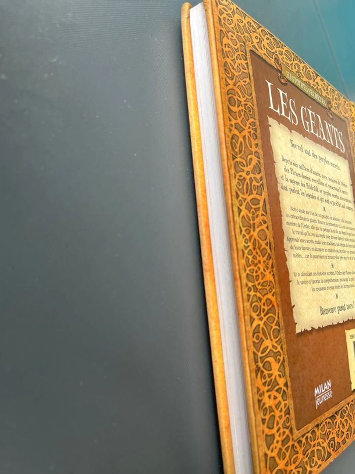 Livre les géants - photo numéro 3
