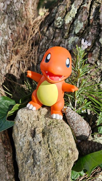 Super grande figurine Pokemon Nintendo tomy C.G.T.S.J Salameche