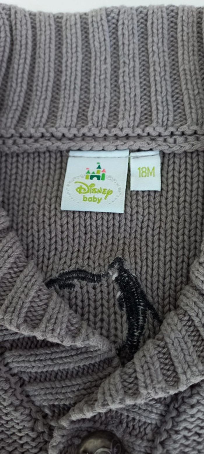 Veste tigrou bébé - photo numéro 4