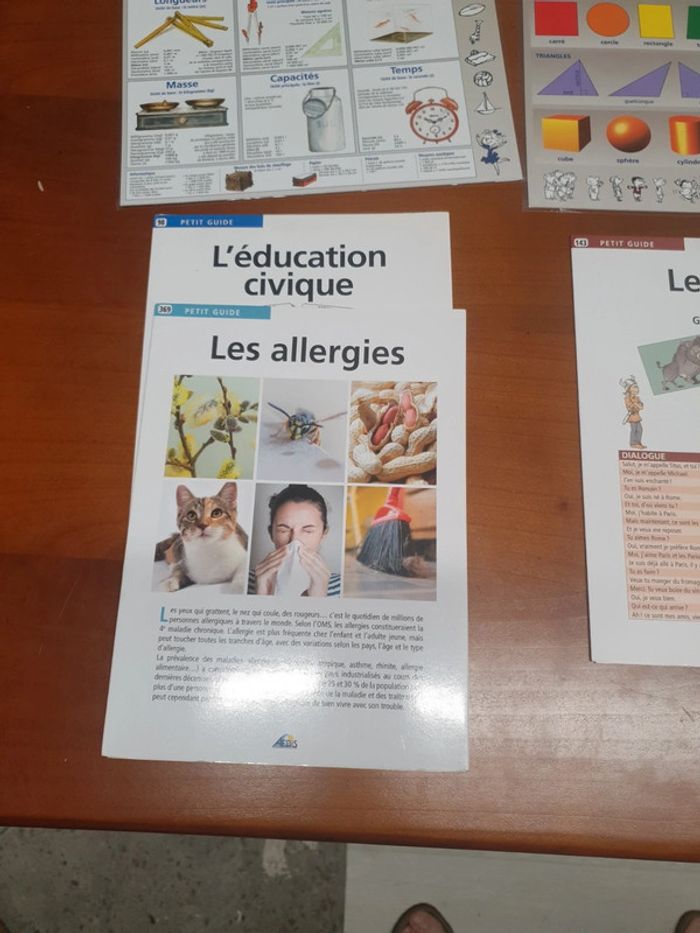 Lot de fiches niveau Ecole primaire. - photo numéro 5