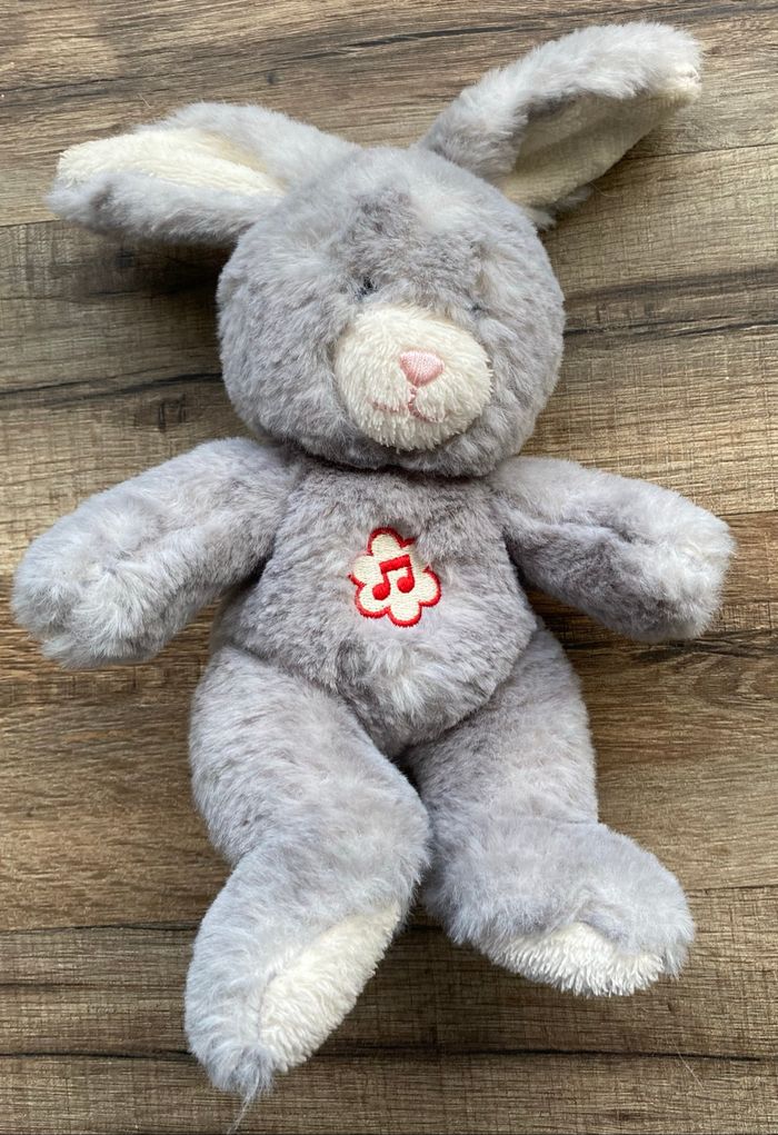 Lapin - photo numéro 3