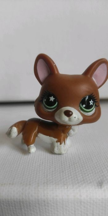 My littlest petshop chien corgi 897