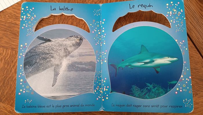Livre imagier première ms découvertes des animaux de la mer - photo numéro 6