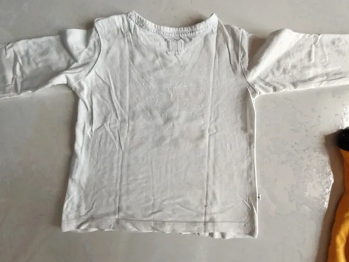 Lot maillot manches longue 24 mois - photo numéro 2