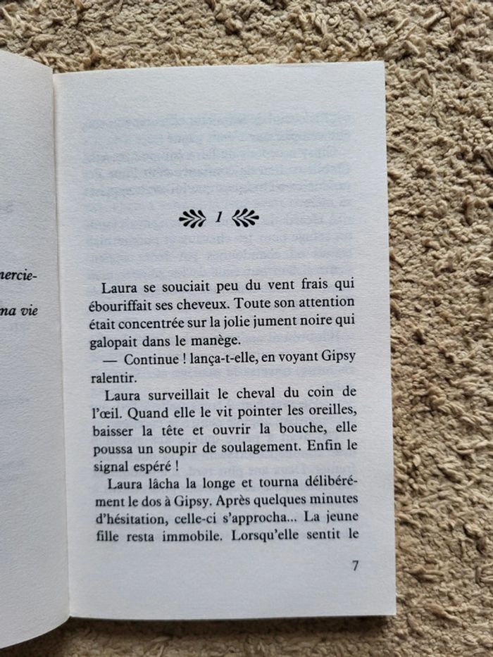 Roman jeunesse "Heartland, L'impossible retour" de Lauren Brooke - Série équestre - photo numéro 6