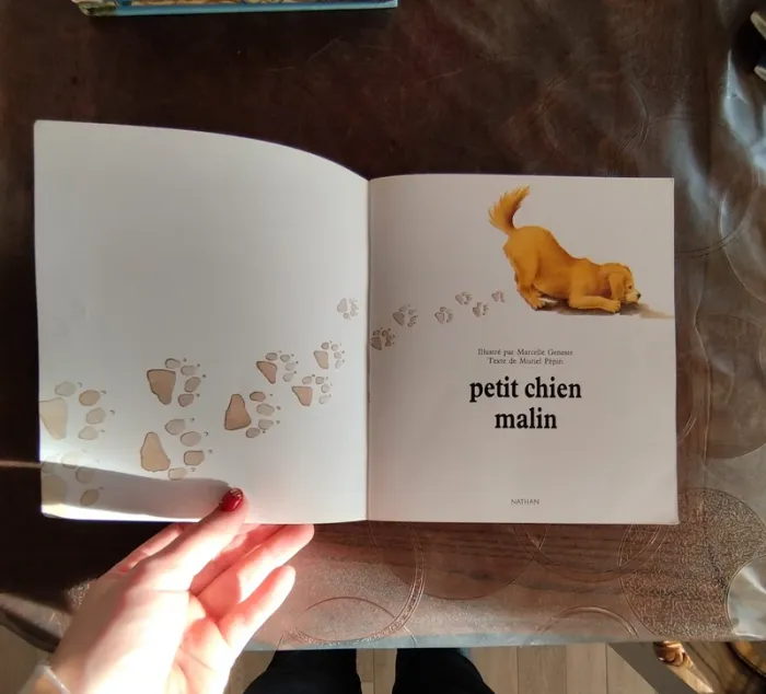 Livre pour enfant - photo numéro 2