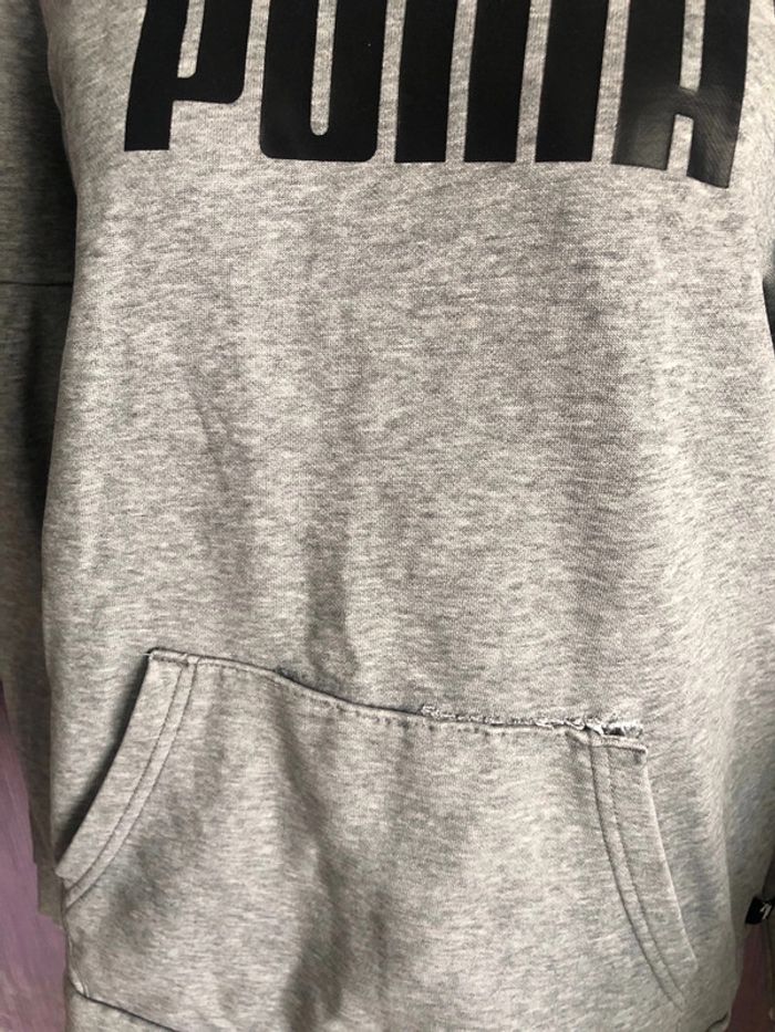 Pull puma - photo numéro 2