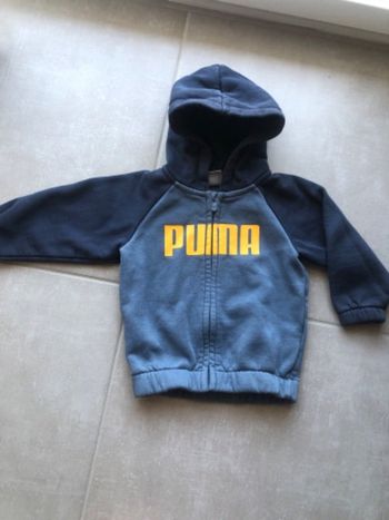 Gilet Puma