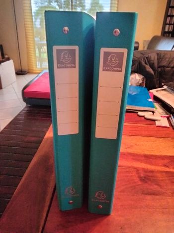 Lot de 2 chasseurs uni bleu exacompta