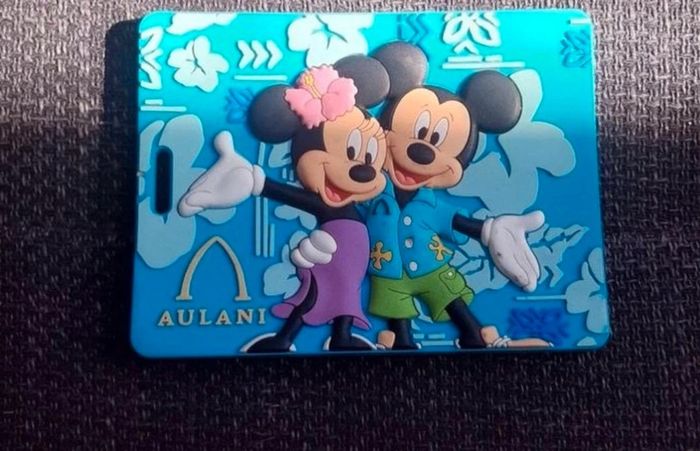 Magnet Disney plage