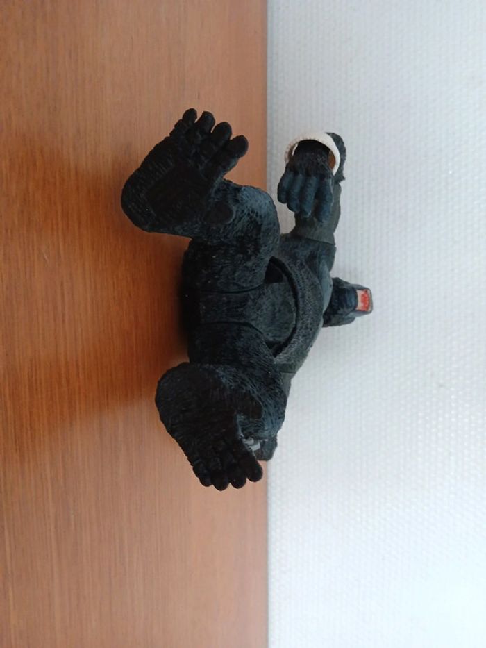 King Kong - photo numéro 6