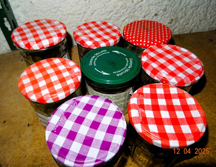 9 bocaux conserve confiture type Bonne Maman