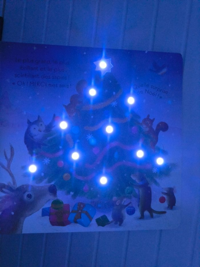 Livre Brille, brille petit sapin de Noël Usborne - photo numéro 6