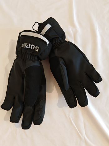 Gant ski