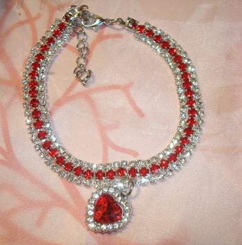 joli collier chien/chat