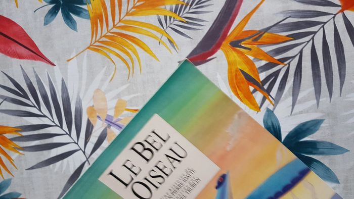 Le bel oiseau - photo numéro 3