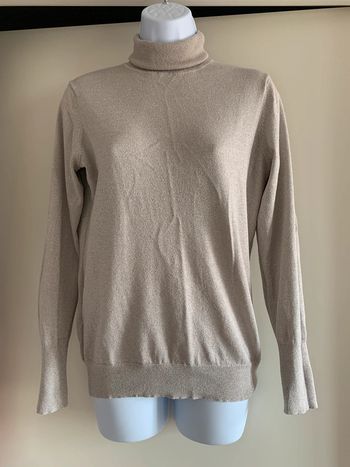 Pull col roulé brillant