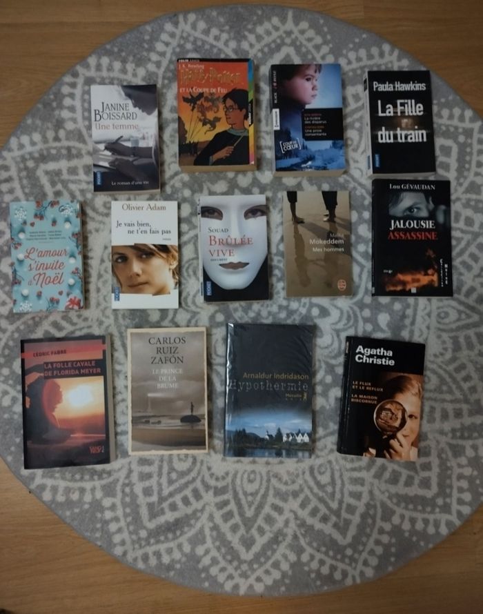 Lot de 13 livres