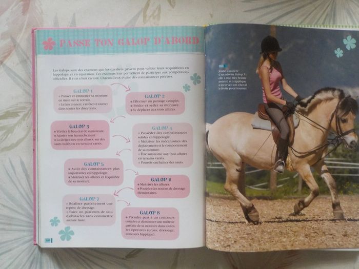Au galop ! avec Sophie Thalmann Tout savoir sur le cheval - photo numéro 12