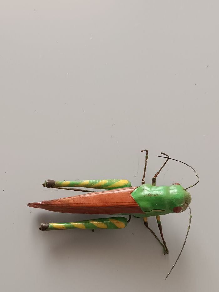 Aimant criquet - photo numéro 3