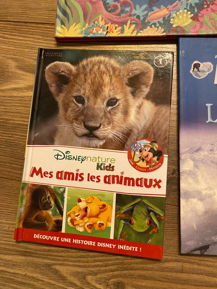 Lot 3 livres enfant découvertes - photo numéro 3