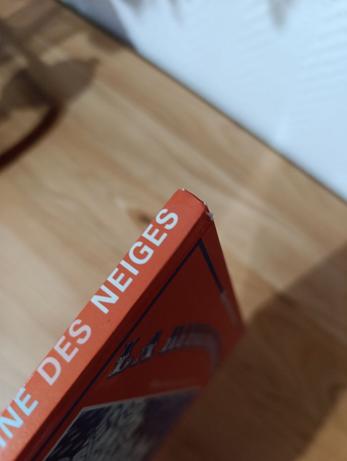 La reine des neiges - photo numéro 3