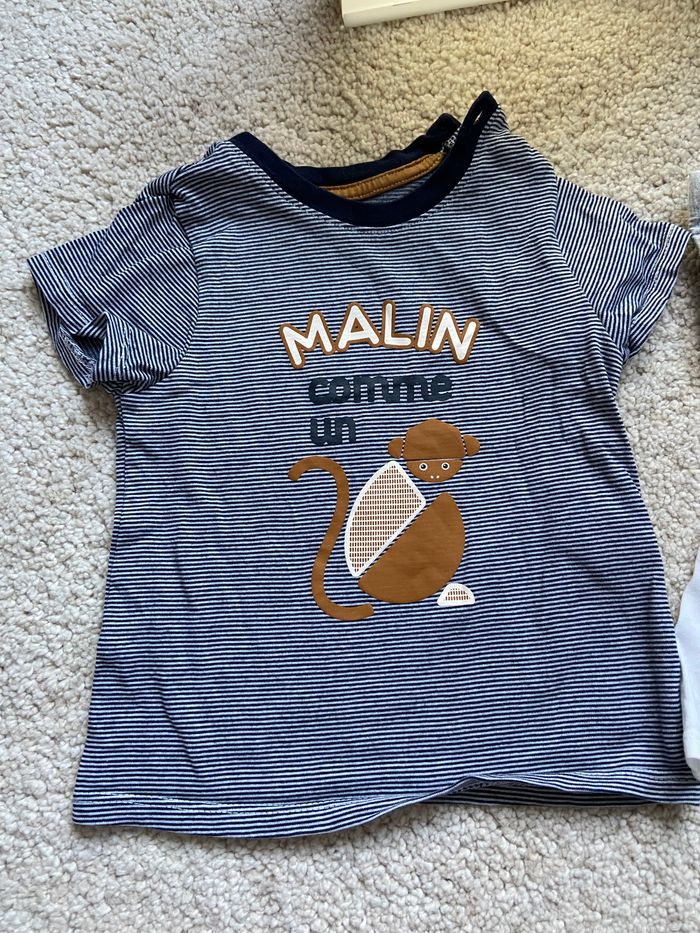 Lot de 2 Tee shirts - Okaidi 👶🏼 - photo numéro 2