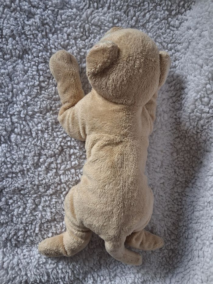 Peluches félins - photo numéro 3