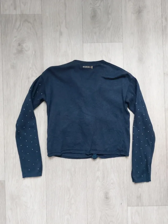 Magnifique gilet 7A - photo numéro 3