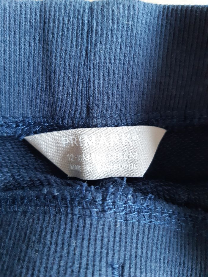 Shorts - photo numéro 2