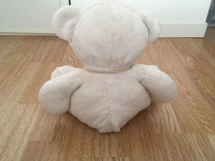 Ours en peluche - photo numéro 5