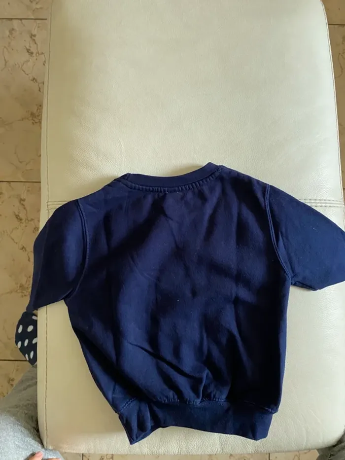 Sweat dinosaure liberty créatrice 4 ans - photo numéro 6