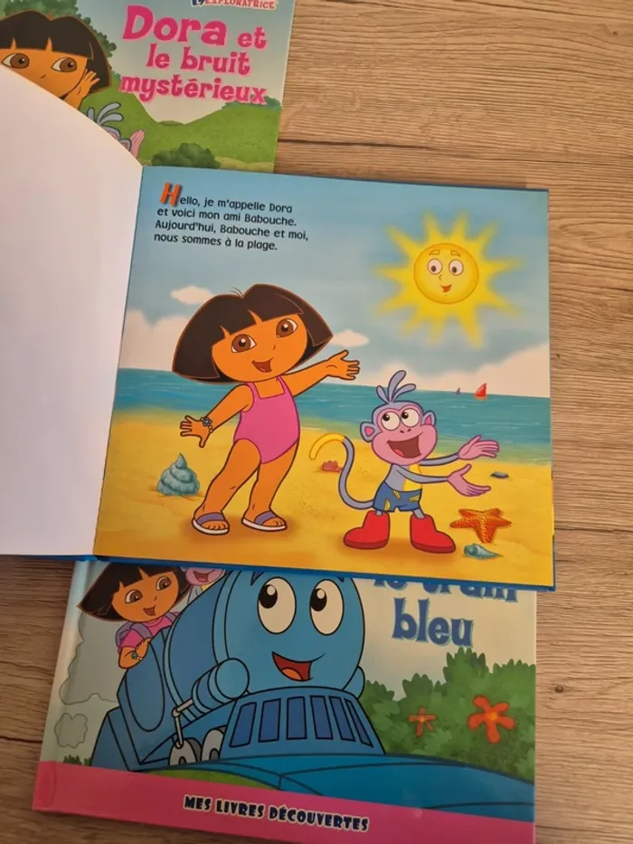 Lot livres dora - photo numéro 9