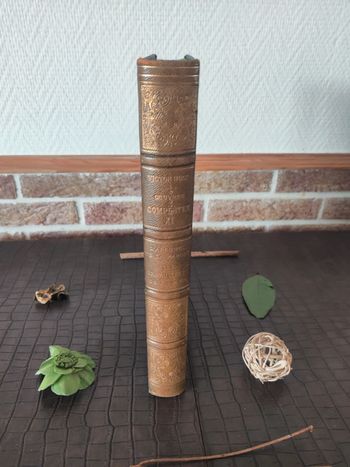 Oeuvres complètes de Victor Hugo - Tome IX